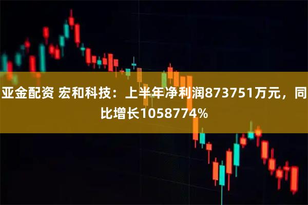 亚金配资 宏和科技：上半年净利润873751万元，同比增长1058774%